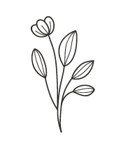 gest.element_flower_01